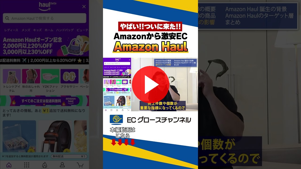【Amazon Haul】ECコンサルが解説します #ecコンサル #ec #ビジネス #売上改善 #amazon #amazonhaul #激安（ECグロースチャンネル動画）
